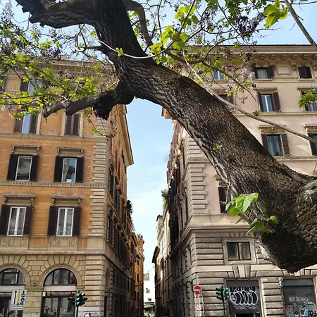 Vatican Near Sweet Terrace Apartment Rom